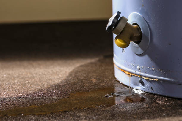 Best Sewage cleanup and water damage restoration  in Monona, WI