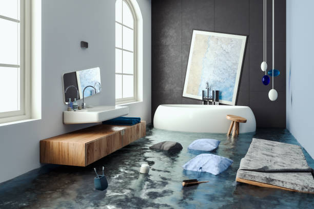 Best Professional water damage repair  in Monona, WI