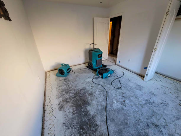 Best Ceiling water damage repair  in Monona, WI
