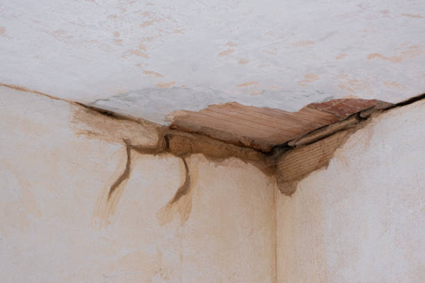 Best Flooded house restoration  in Monona, WI
