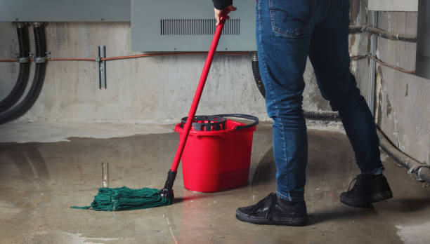 Best Water damage restoration near me  in Monona, WI