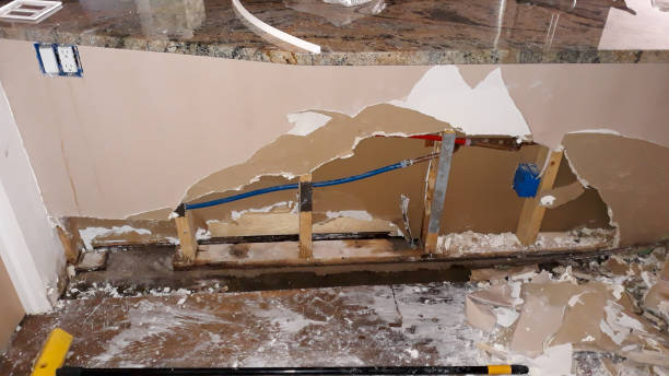 Best Fire Damage Restoration  in Monona, WI