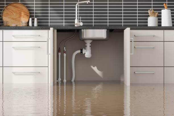 Best Mold removal after water damage  in Monona, WI
