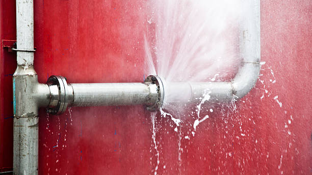 Best Water damage restoration near me  in Monona, WI